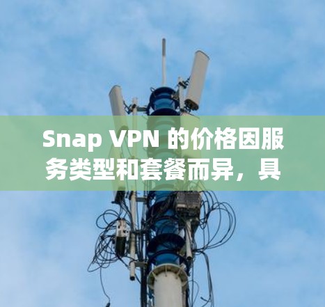 Snap VPN 的价格因服务类型和套餐而异,具体价格取决于您选择的SNAP VPN套餐。以下是一些常见的SNAP VPN套餐及其价格范围