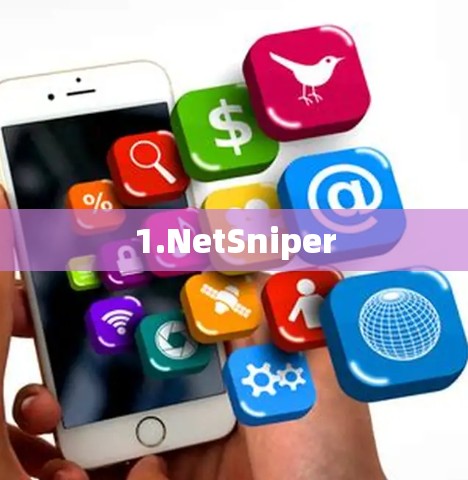 1.NetSniper