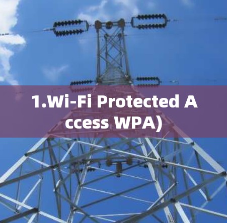 1.Wi-Fi Protected Access WPA)