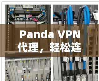 Panda VPN代理，轻松连接到Panda VPN的简单指南