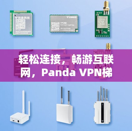 轻松连接,畅游互联网,Panda VPN梯子