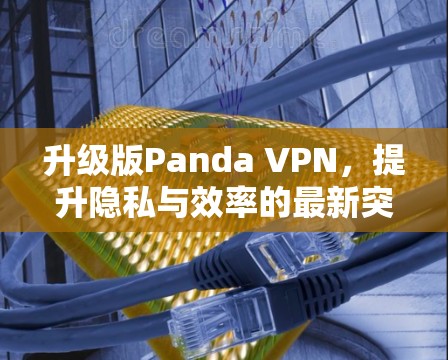 升级版Panda VPN，提升隐私与效率的最新突破
