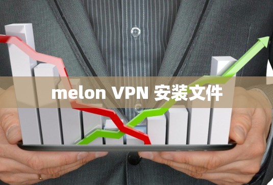 melon VPN 安装文件