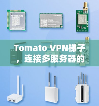 Tomato VPN梯子，连接多服务器的巧妙解决方案
