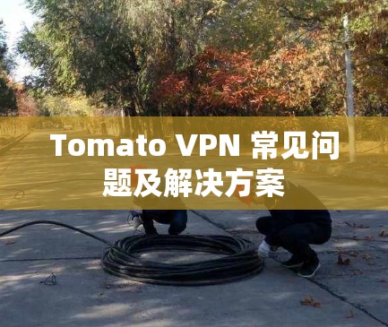 Tomato VPN 常见问题及解决方案