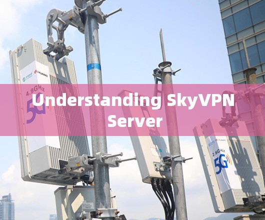 Understanding SkyVPN Server