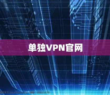 单独VPN官网