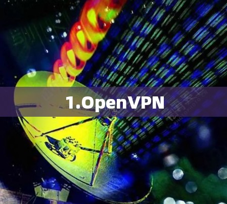1.OpenVPN