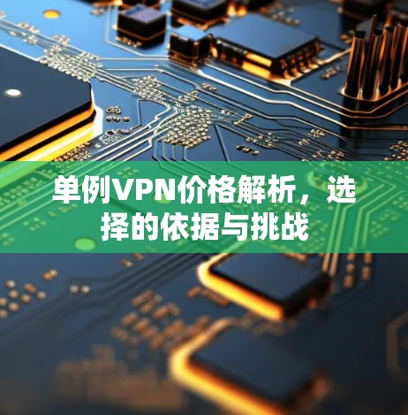 单例VPN价格解析,选择的依据与挑战
