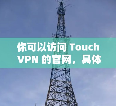 你可以访问 Touch VPN 的官网,具体步骤如下
