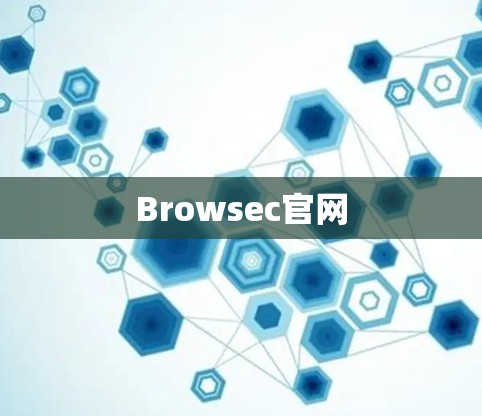 Browsec官网