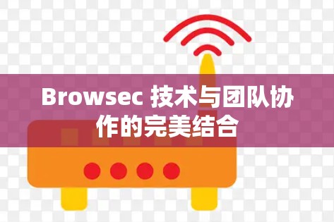 Browsec 技术与团队协作的完美结合