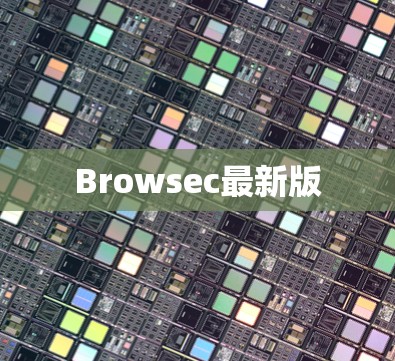 Browsec最新版