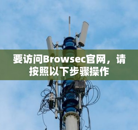 要访问Browsec官网，请按照以下步骤操作