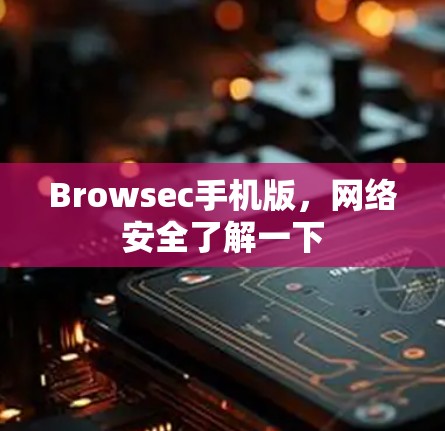 Browsec手机版，网络安全了解一下