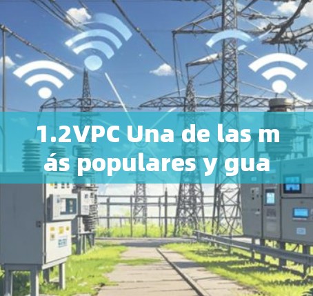 1.2VPC Una de las más populares y guaranteea una experiência de end-to-end encryption.