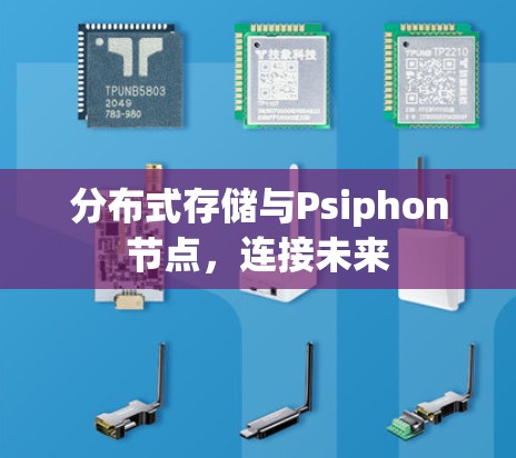 分布式存储与Psiphon节点，连接未来