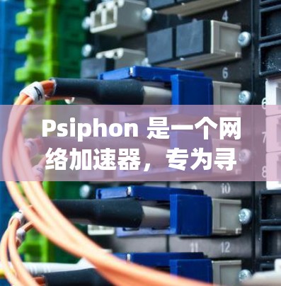 Psiphon 是一个网络加速器，专为寻求更快网络速度或更轻松的连接而设计。它通过优化数据流量和减少延迟，让用户能够在更短的时间内访问更多资源