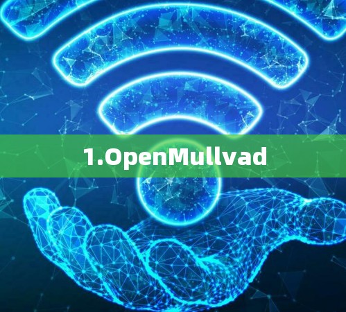 1.OpenMullvad