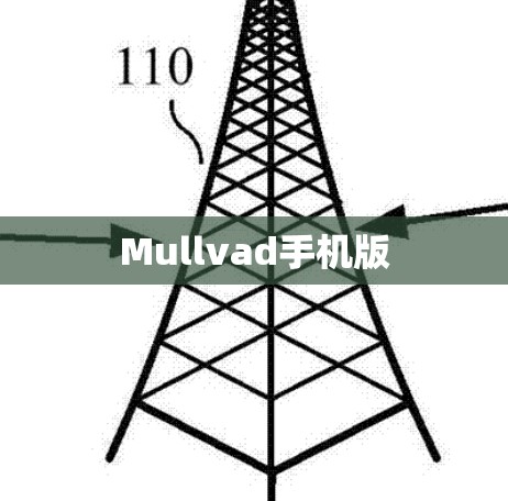 Mullvad手机版