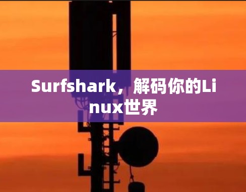 Surfshark，解码你的Linux世界