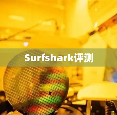 Surfshark评测