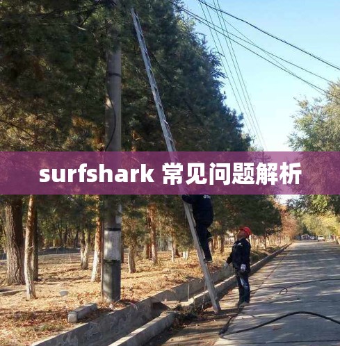 surfshark 常见问题解析 surfshark 常见问题解析