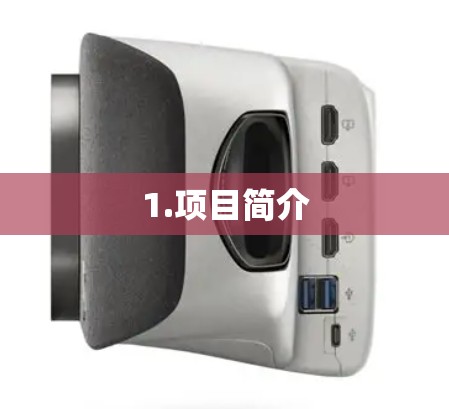 1.项目简介