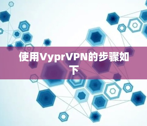 使用VyprVPN的步骤如下