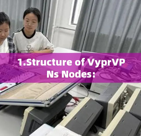 1.Structure of VyprVPNs Nodes: