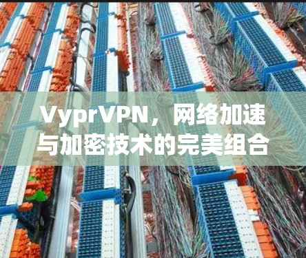 VyprVPN，网络加速与加密技术的完美组合
