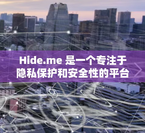 Hide.me 是一个专注于隐私保护和安全性的平台，提供多种服务，如加密货币交易、支付保护和隐私通话。以下是对Hide.me作为稳定节点的详细总结