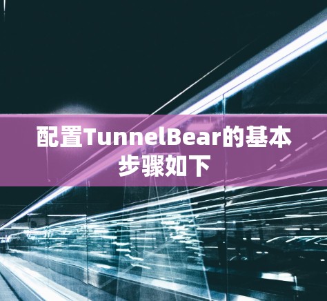 配置TunnelBear的基本步骤如下
