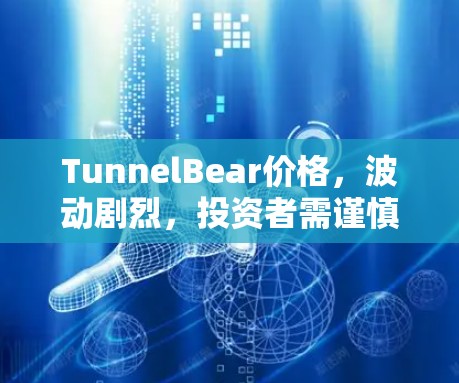 TunnelBear价格，波动剧烈，投资者需谨慎