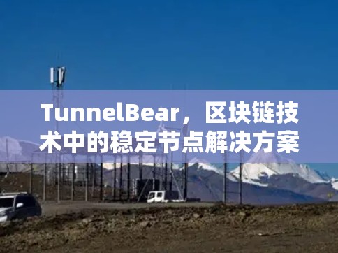 TunnelBear,区块链技术中的稳定节点解决方案 TunnelBear,区块链技术中的稳定节点解决方案