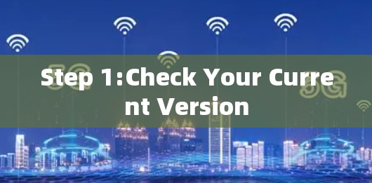 Step 1:Check Your Current Version