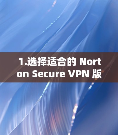 1.选择适合的 Norton Secure VPN 版本