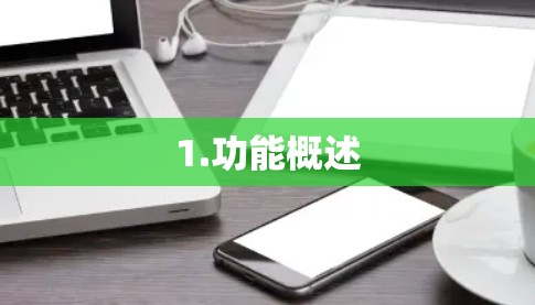 1.功能概述