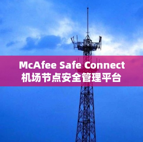 McAfee Safe Connect机场节点安全管理平台