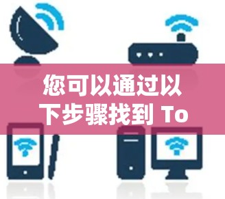 您可以通过以下步骤找到 TorGuard 的官方下载链接