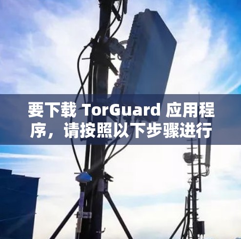 要下载 TorGuard 应用程序，请按照以下步骤进行
