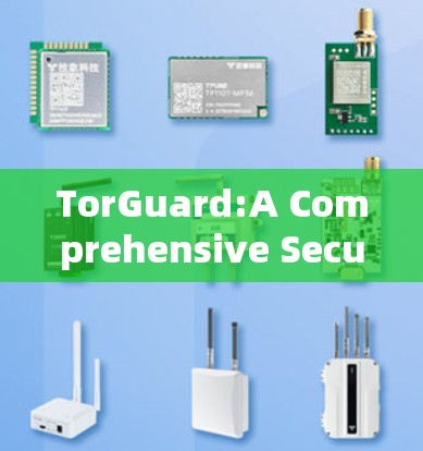 TorGuard:A Comprehensive Security and Privacy Tool for Web Browsing