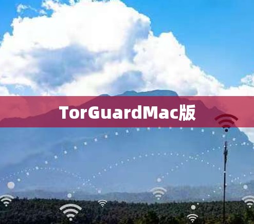 TorGuardMac版