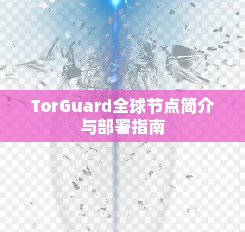 TorGuard全球节点简介与部署指南