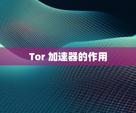 Tor 加速器的作用 Tor 加速器的作用
