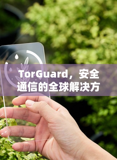 TorGuard，安全通信的全球解决方案