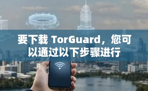 要下载 TorGuard，您可以通过以下步骤进行
