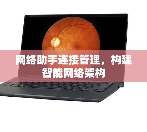 网络助手连接管理，构建智能网络架构