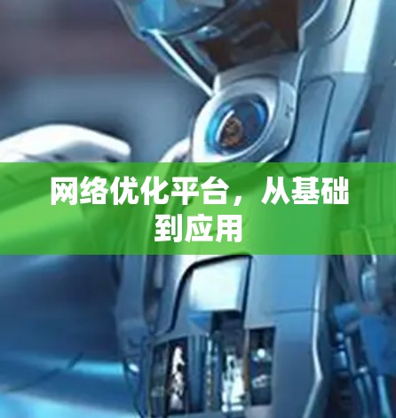 网络优化平台，从基础到应用