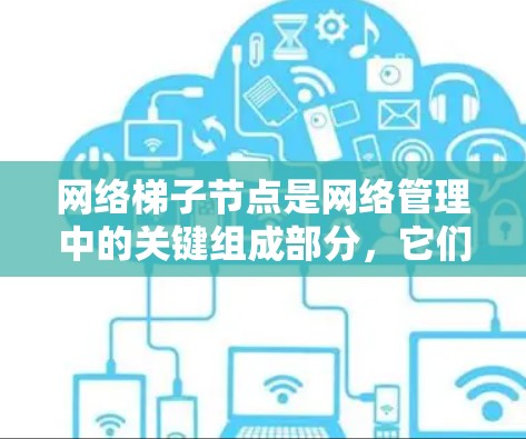 网络梯子节点是网络管理中的关键组成部分，它们负责独立运行的网络设备，负责转发流量、提供服务和处理数据。以下是网络梯子节点的详细配置和管理步骤